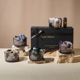  Tinh Dầu Thơm Dạng Khô Cốc Thủy Tinh Đen - Hương Lavender, Lê Anh, Trắng, Hoa Gió Xanh, Dùng Cho Phòng Khách, Phòng Ngủ, Quà Tặng [GIAO HÀNG 2-10 NGÀY | SỈ TỪ 2 TRIỆU | CÓ THỂ IN LOGO] 