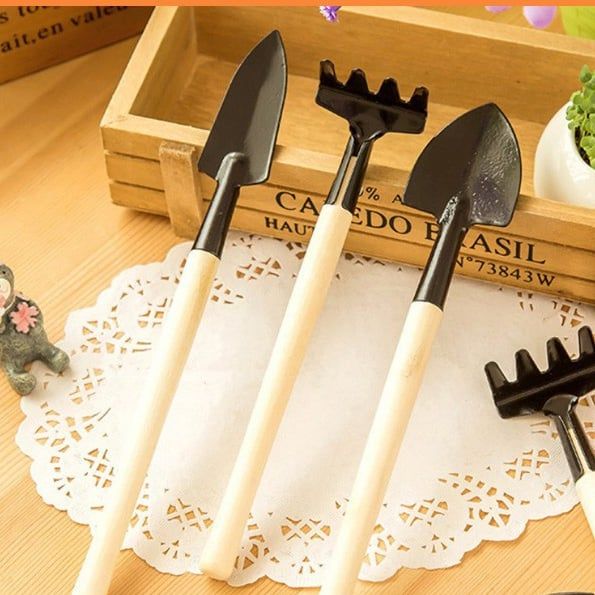  Bộ Dụng Cụ Làm Vườn Mini 3 MónHiện nay, việc xây dựng một khu vườn mini đang trở thành xu hướng ở nhà phố. Để s 