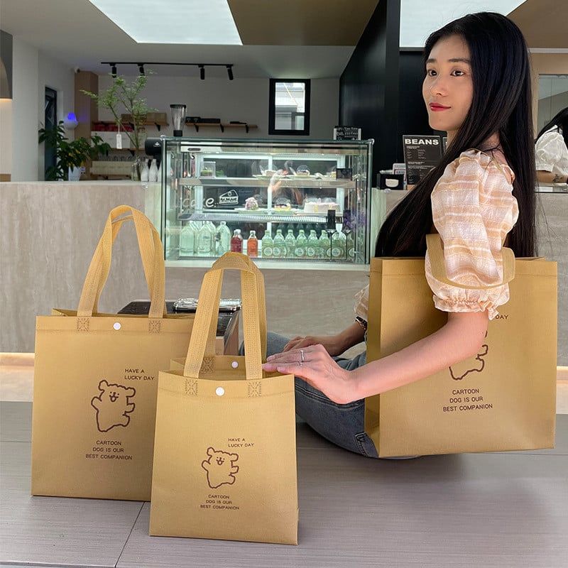  Túi vải không dệt khóa ẩn, túi đóng gói quần áo shop thời trang 