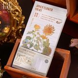  Bộ 2 Sổ Kế Hoạch Tuần Phong Cách Retro: Sổ Tay Nghệ Thuật Sang Trọng và Đơn Giản. 