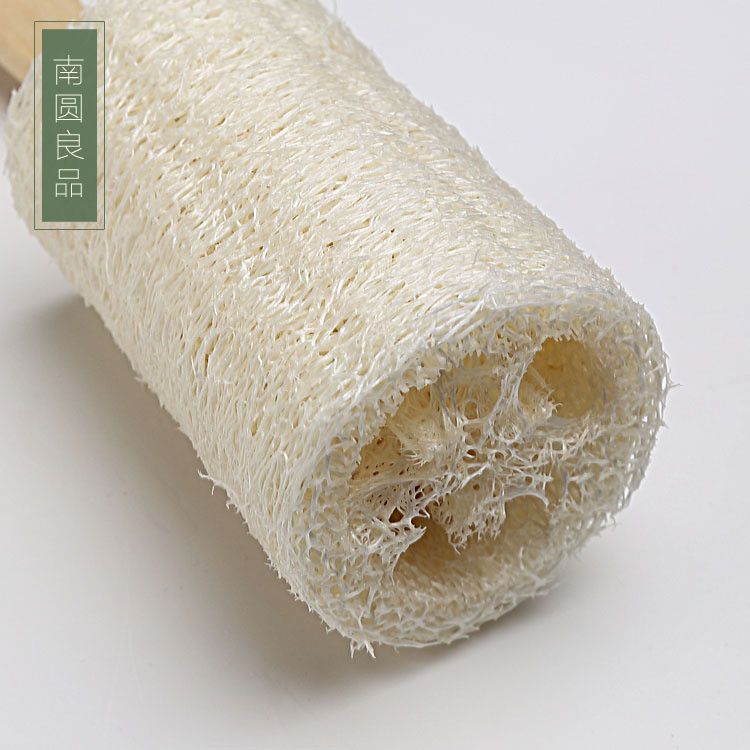  Bàn Chải Cọ Xát Lưng Bằng Mướp Tự Nhiên - Nhà Máy Cung Cấp Trực Tiếp [GIAO HÀNG 2-10 NGÀY | SỈ TỪ 2 TRIỆU | CÓ THỂ IN LOGO] 