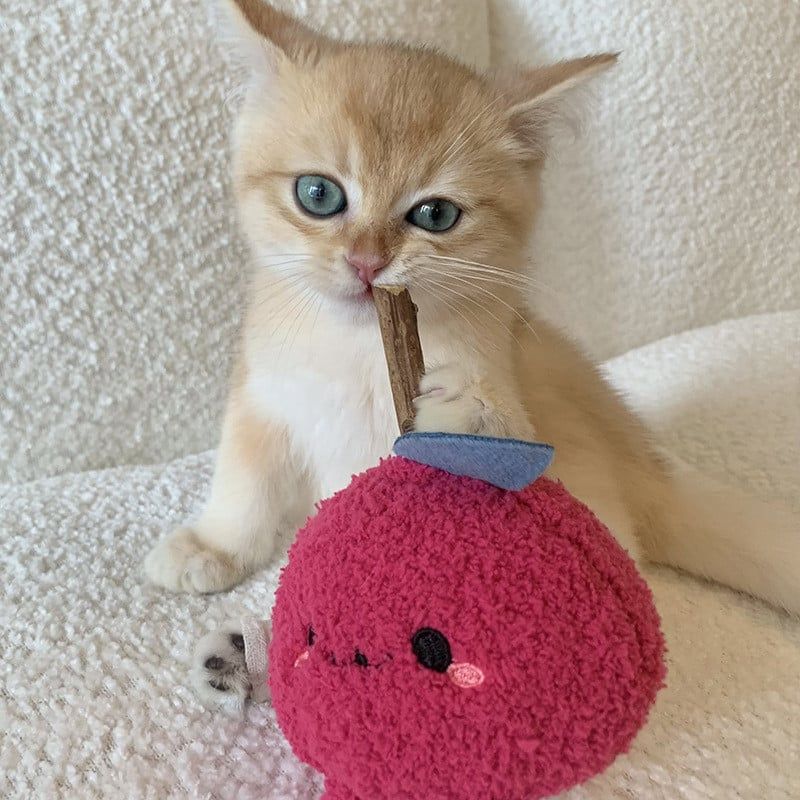  Đồ Chơi Mèo Hình Chú Mèo Catnip Gậy Gặm Nhấm Mài Răng [GIAO HÀNG 2-10 NGÀY | SỈ TỪ 2 TRIỆU | CÓ THỂ IN LOGO] 