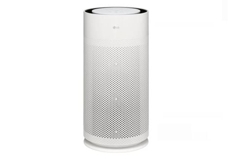 Máy lọc không khí LG AS35GGW10