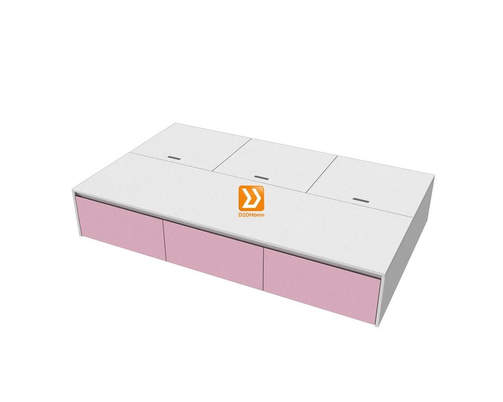 Hệ tủ liền giường TLG.05