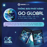  Sách - Go Global – Cẩm Nang Sống, Làm Việc & Tỏa Sáng Toàn Cầu - Nguyễn Phi Vân 