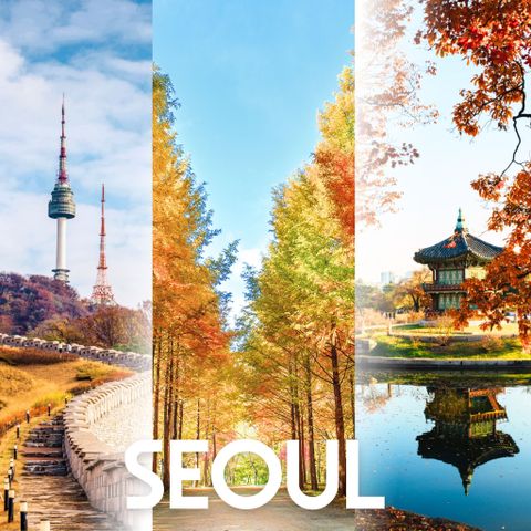 MÙA THU SEOUL 2025