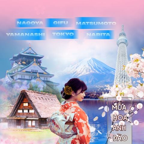 VJ.T03.2026.MÙA HOA ANH ĐÀO NHẬT BẢN - CUNG ĐƯỜNG VÀNG