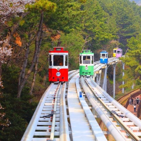 2026.HÀN QUỐC MÙA HOA ANH ĐÀO - BUSAN - GYEONGJU - ULSAN - SEOUL