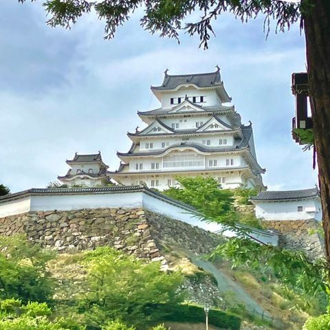 MÙA HÈ NHẬT BẢN - CUNG ĐƯỜNG VÀNG.2026. BAY VNA