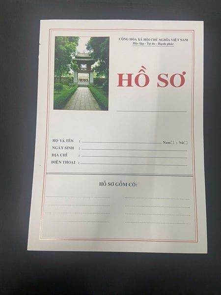 Hồ sơ xin việc Hải Long