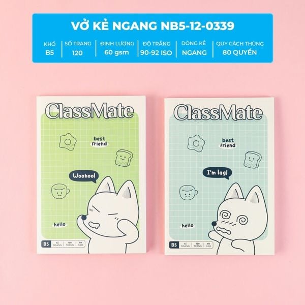 Vở KN ClassMate Tiểu Cáo DL60gsm 120 trang NB5-12-0339 (10/120)