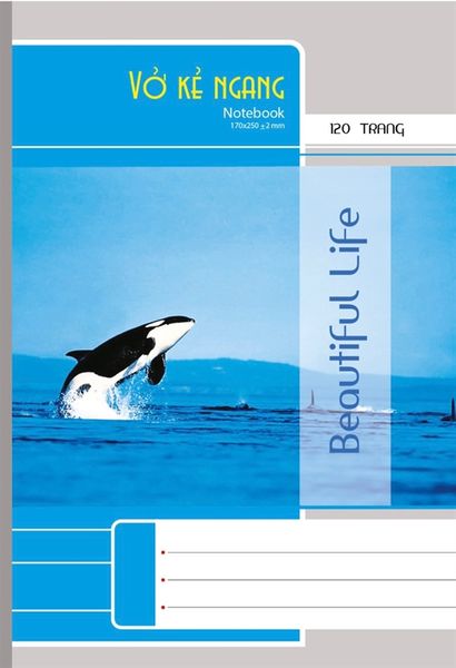 Vở KN Hải Long Beautiful Life DL60gsm 300 trang BF300 (5/42)