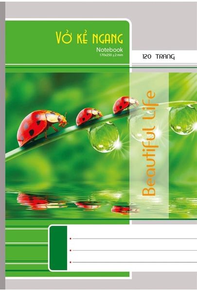 Vở KN Hải Long Beautiful Life DL60gsm 300 trang BF300 (5/42)