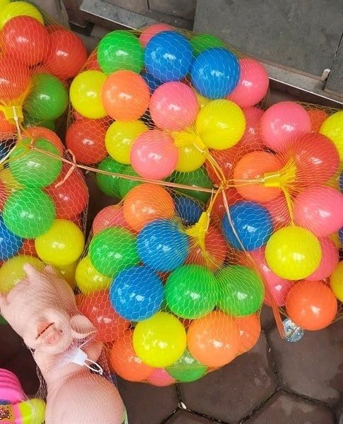 Bóng lưới 50 quả