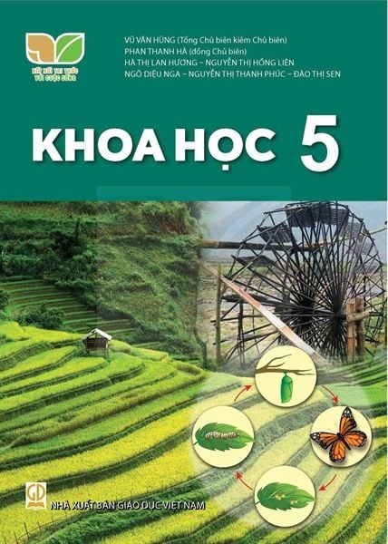 Bộ sách giáo khoa lớp 5 - Kết nối tri thức với cuộc sống