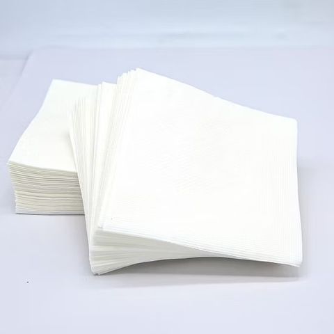 Giấy Napkin Shelton 240x240mm 2 lớp 100 tờ 1kg (10) - 1 Kg (Bịch) (821383)