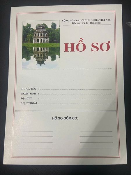 Hồ sơ xin việc Hải Long