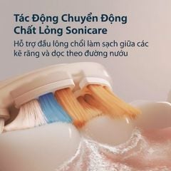  Bàn chải đánh răng điện Philips Sonicare 7300 