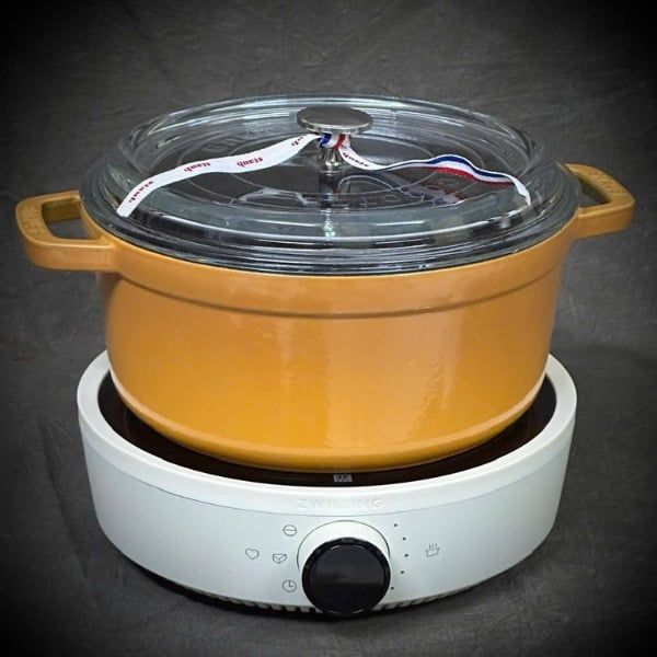 Bếp từ đơn Zwilling 26cm 2000W - Màu Đỏ/Đen/Kem