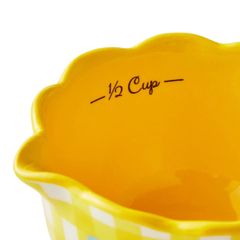  Bộ ca đong The Pioneer Woman Sweet Romance Blooms 4 món 