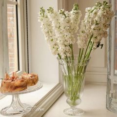  Lọ Hoa Bohemia Windsor 33cm - Séc 