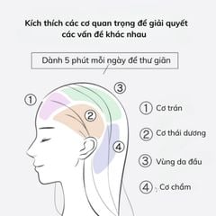  Lược massage đầu Mytrex Vido chuyển động rung ngang 