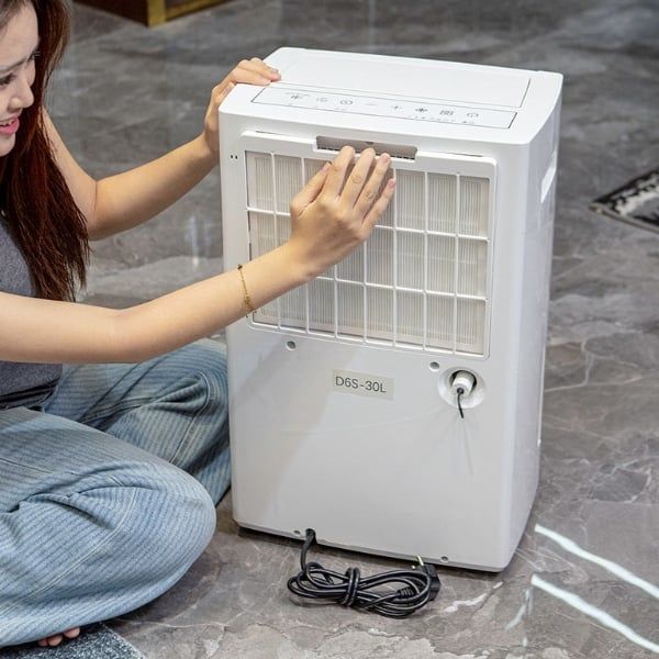 Máy hút ẩm lọc không khí Lumias D6S-30L (30 lít/ngày)