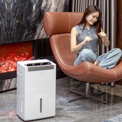  Máy hút ẩm lọc không khí Lumias D6S-30L (30 lít/ngày) 