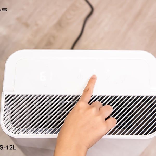 Máy hút ẩm Lumias D6S-12L