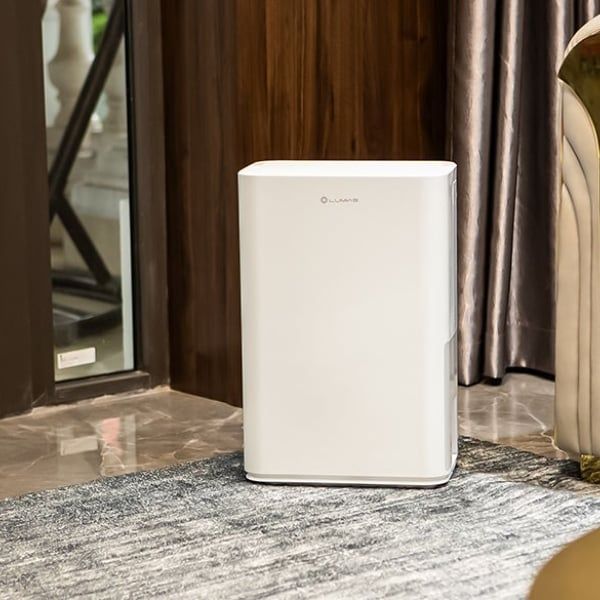 Máy hút ẩm Lumias D6S-12L