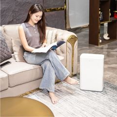  Máy hút ẩm Lumias D6S-12L 