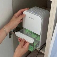  Máy hút ẩm mini Shinil SDH-M190KP 