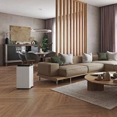  Máy hút ẩm Stadler Form Lukas Pro 50L kèm lọc không khí 