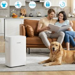  Máy hút ẩm Steiger STG 825DW 