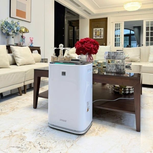 Máy hút ẩm Steiger STG 835DW/Pro 35L/ngày