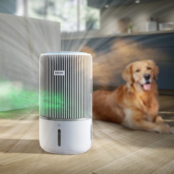 Máy lọc không khí Philips AC3420/10 bù ẩm 78m2 43W