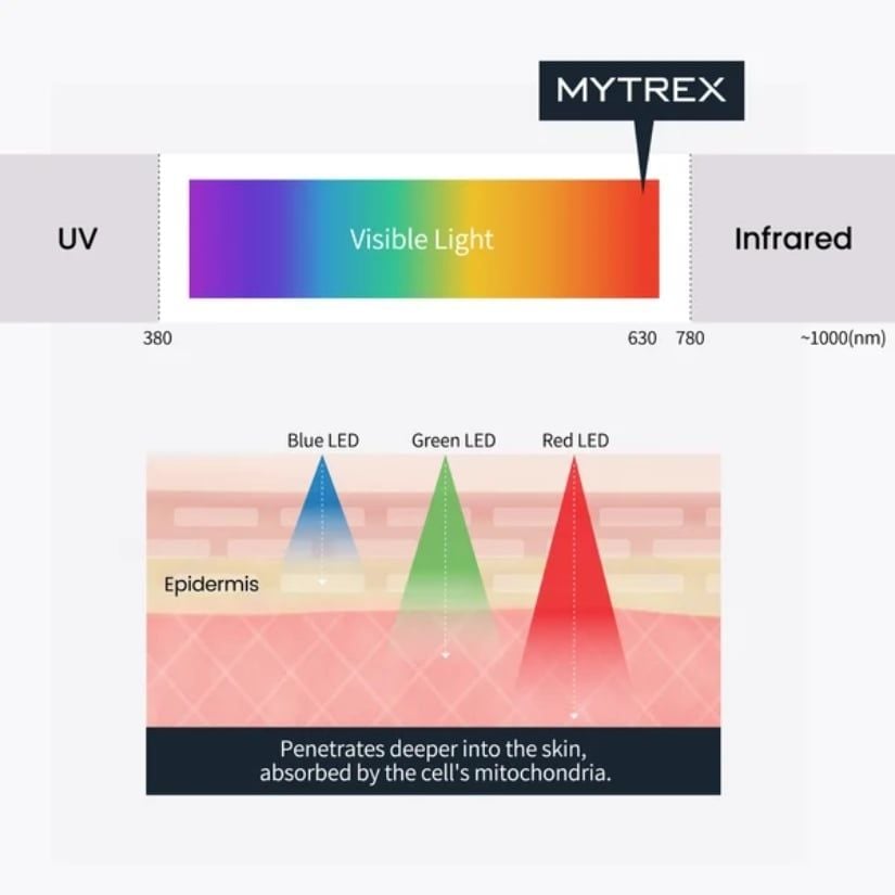 Máy massage đầu Mytrex EMS Head Spa Pro