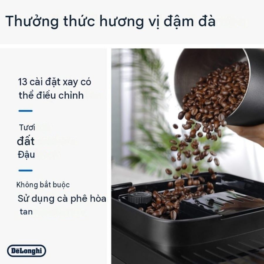 Máy pha cà phê DeLonghi Magnifica Evo Next Ecam310.60.GB