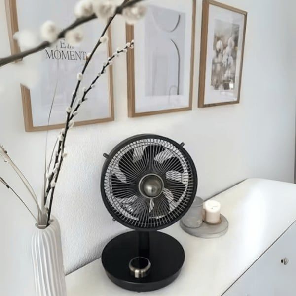 Quạt bàn Stylies Cepheus - Nội địa Đức