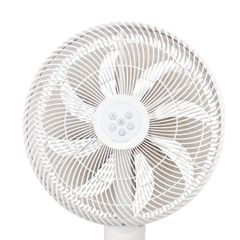  Quạt phun sương tạo ẩm De Muller 