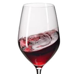  Set 6 ly vang đỏ WMF Easy Plus 450ml 0910039990 