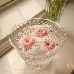  Tô pha lê Bohemia Windsor 28.5cm 