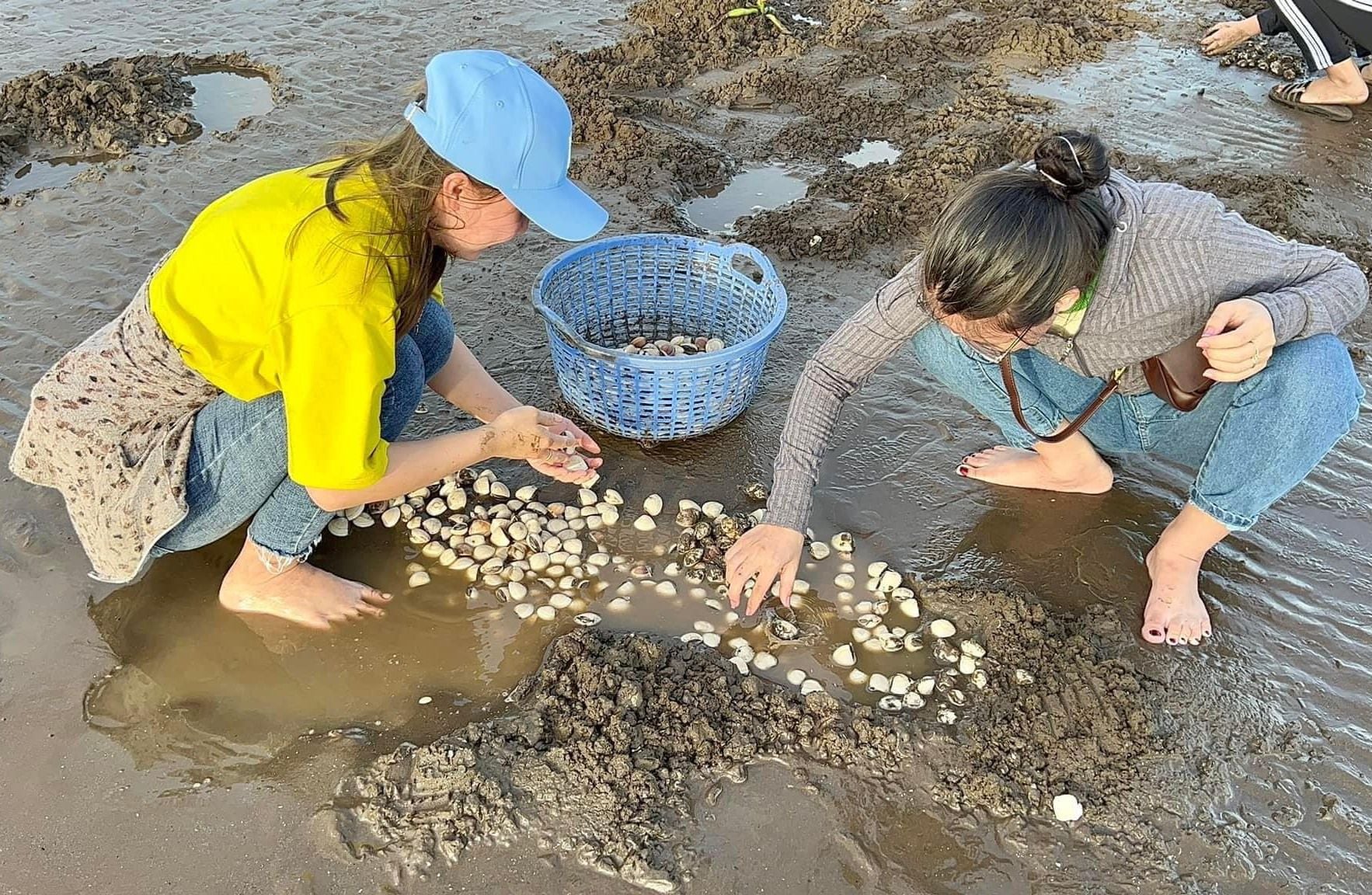 TOUR 1 NGÀY GÒ CÔNG - TRẢI NGHIỆM CÀO NGHÊU