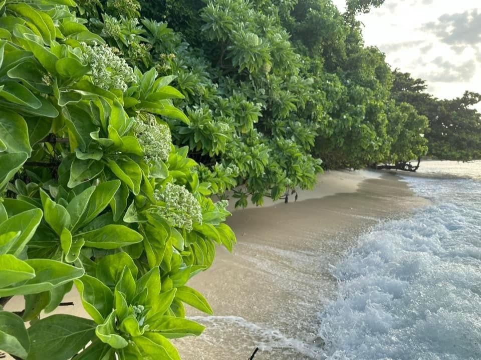 TOUR ĐẢO THỔ CHU 4 NGÀY 3 ĐÊM - ĐI BẰNG TÀU CAO TỐC SUPERDONG - KHỞI HÀNH HÀNG TUẦN