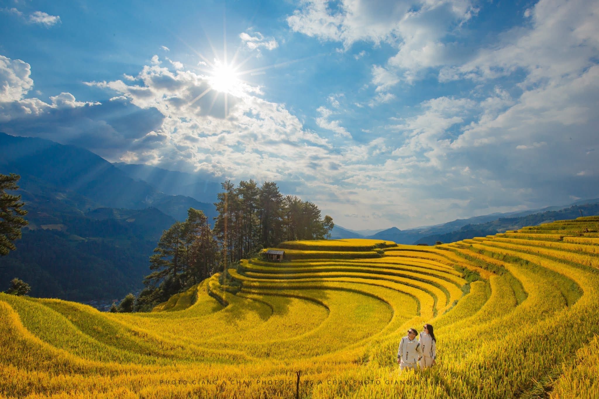 TOUR MIỀN BẮC 5N4D: SÀI GÒN - YÊN BÁI - MÙ CĂNG CHẢI - SAPA - FANSIPAN - HÀ KHẨU