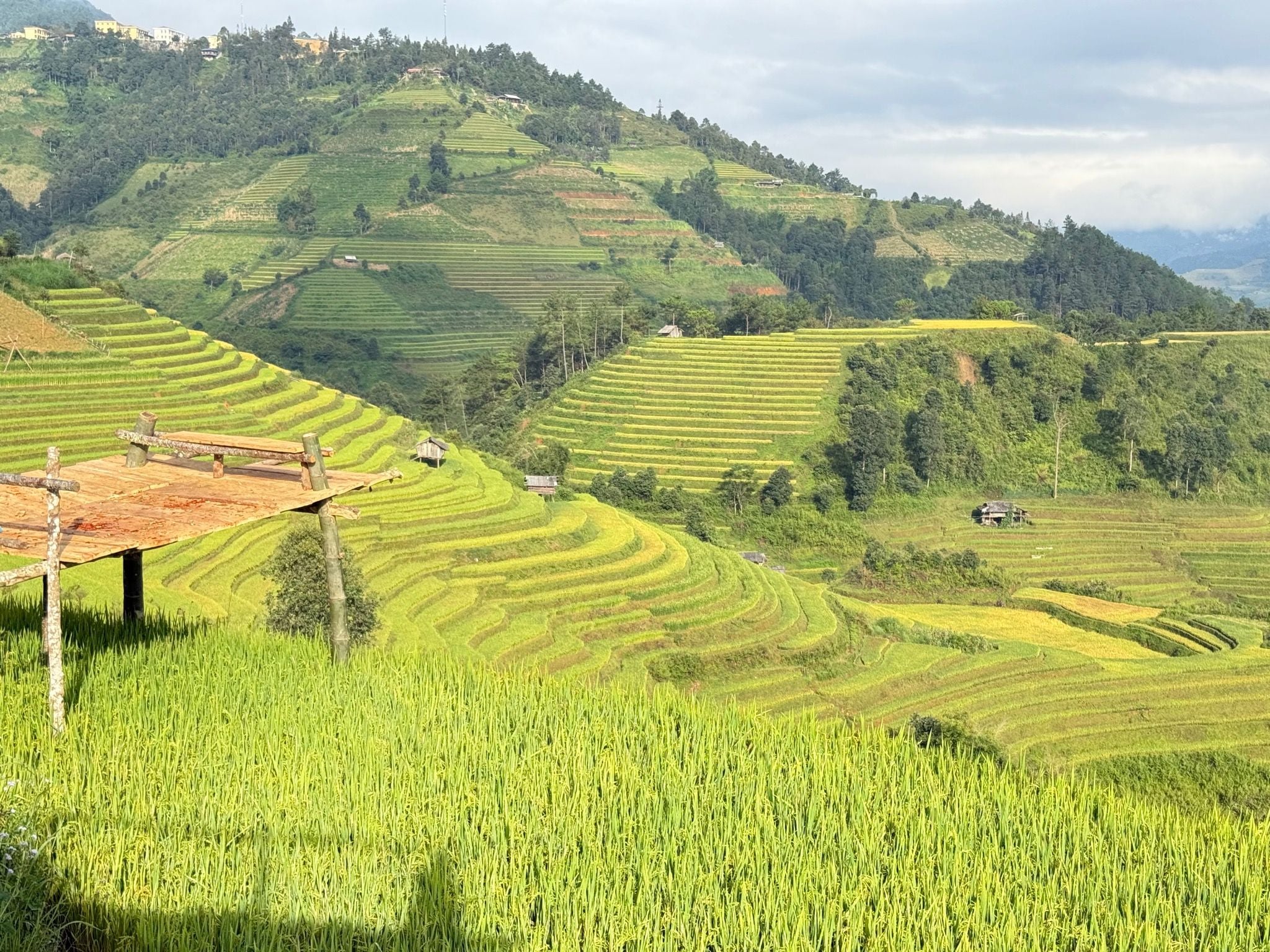 TOUR MÙ CĂNG CHẢI 2 NGÀY 1 ĐÊM