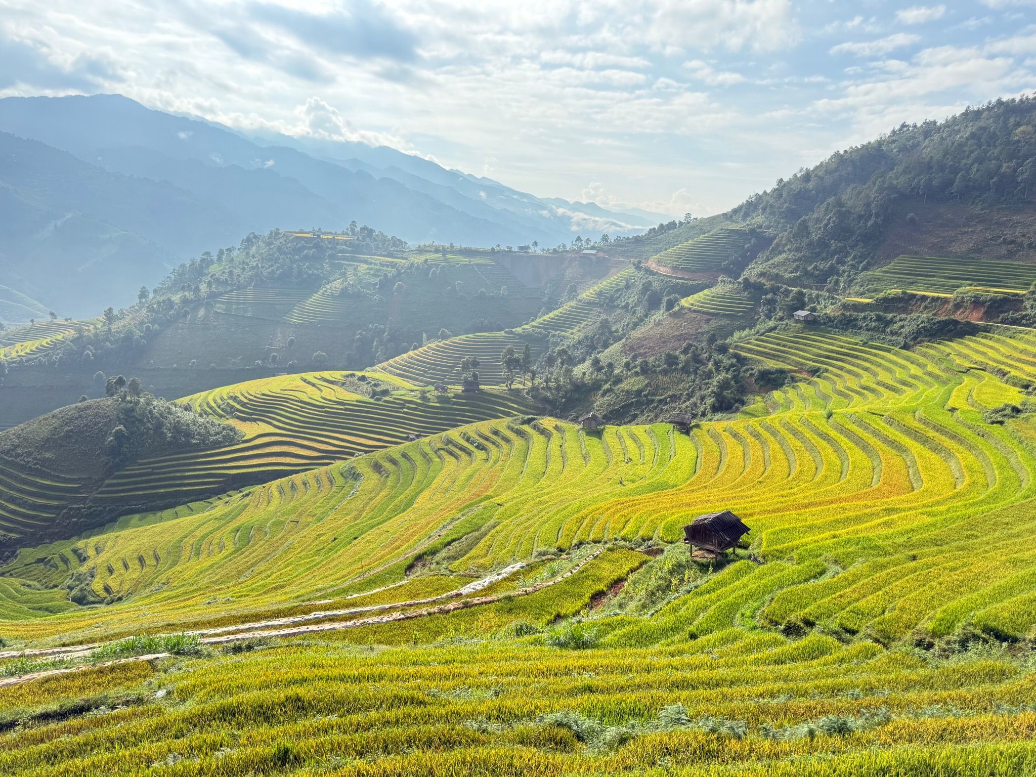 TOUR MÙ CĂNG CHẢI 2 NGÀY 1 ĐÊM