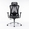  Ghế công thái học EDRA - EEC225 