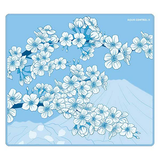  Bàn di chuột X-Raypad Aqua Control II 