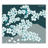  Bàn di chuột X-Raypad Aqua Control II 